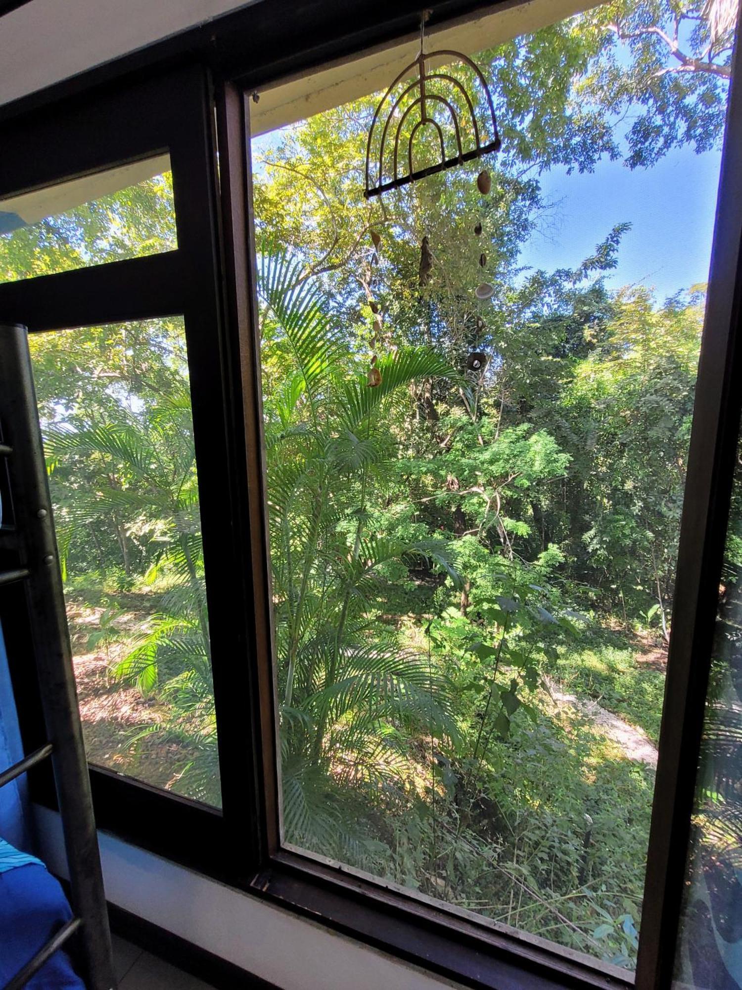 Villa Martina Palmgarden Sámara 外观 照片