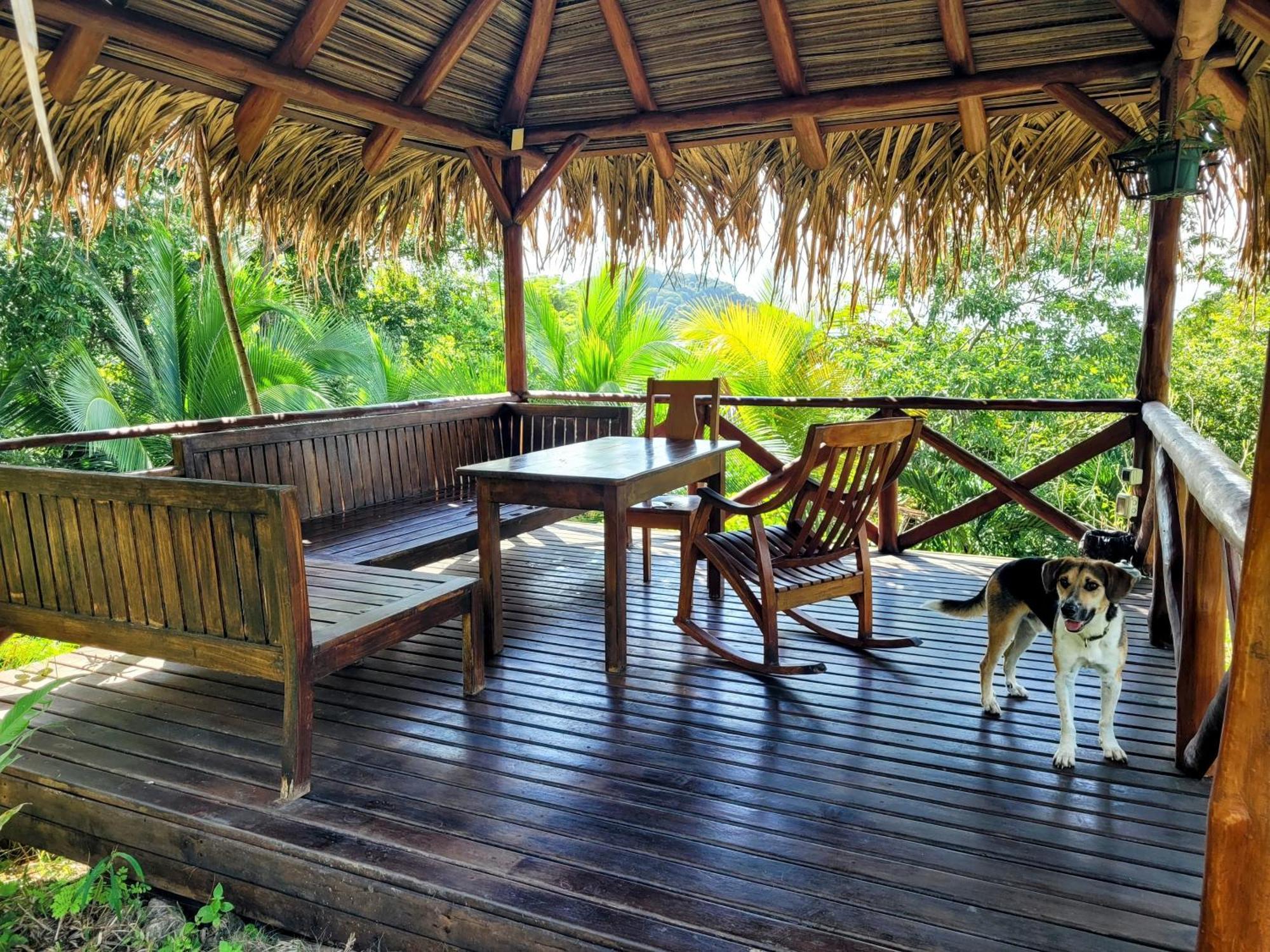 Villa Martina Palmgarden Sámara 外观 照片