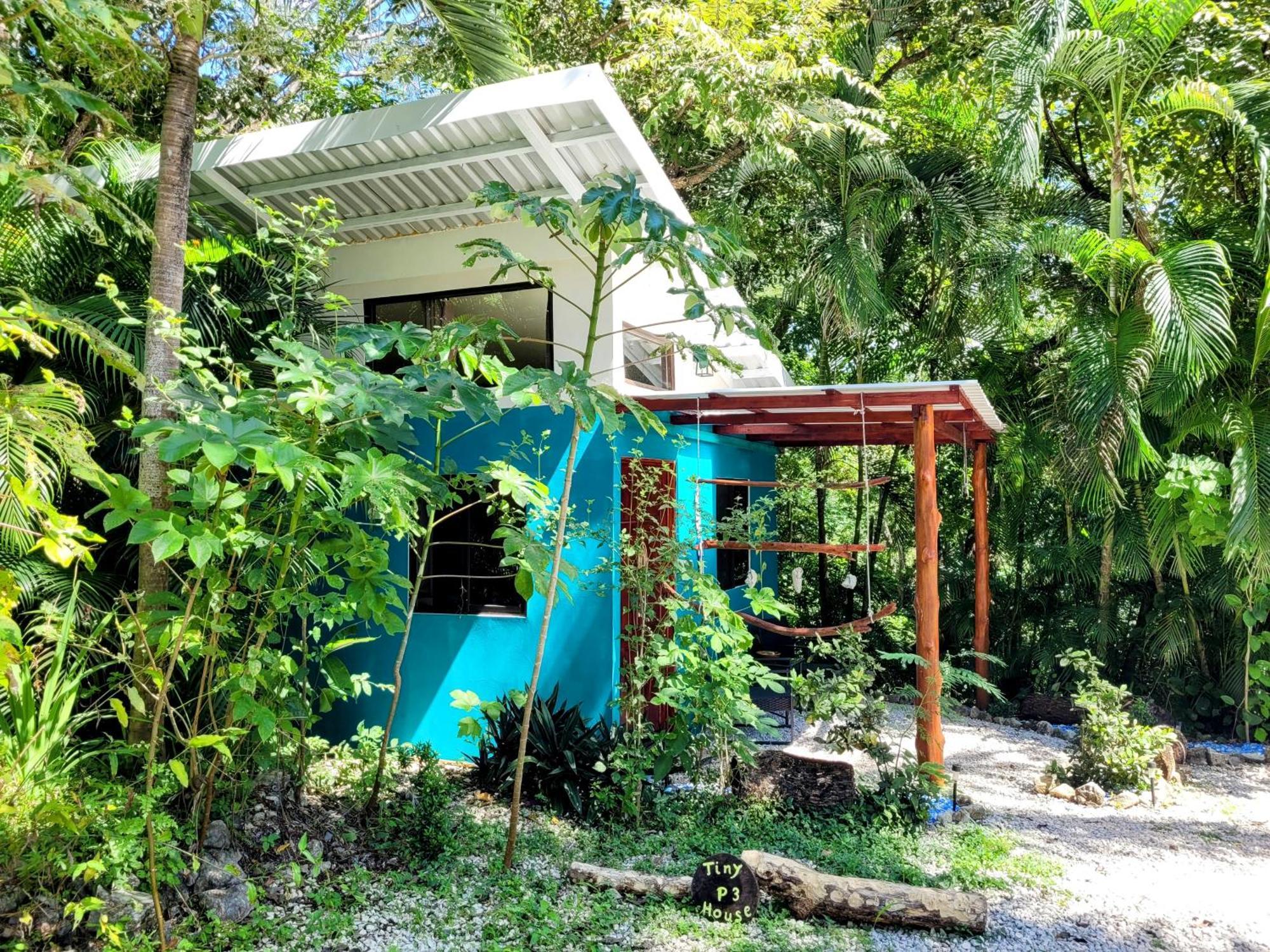 Villa Martina Palmgarden Sámara 客房 照片